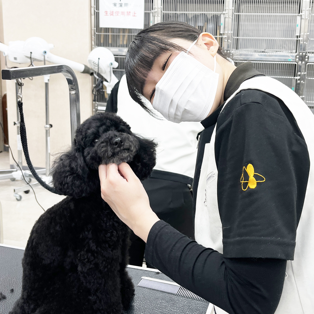 スキルアッププログラム♪